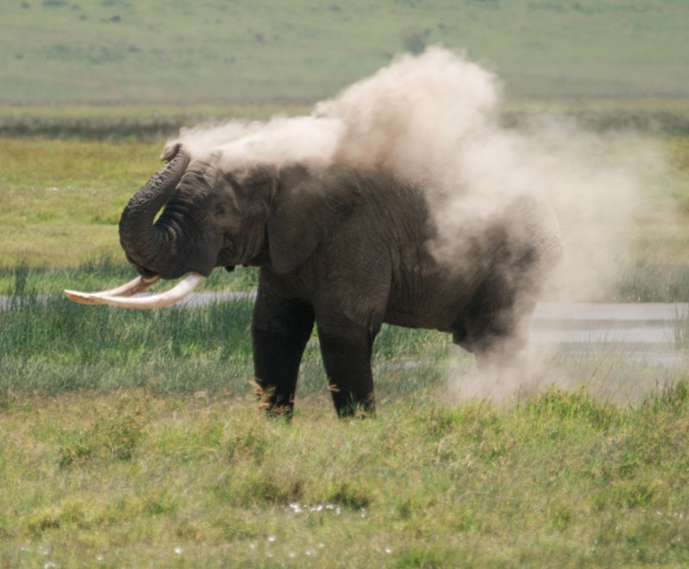 03 days ngorongoro, tarangire and lake manyara