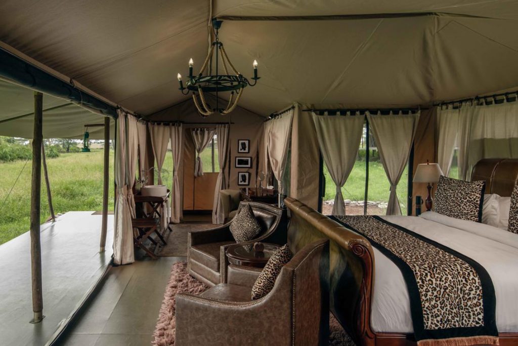 Ngorongoro, Tarangire and Serengeti Safari