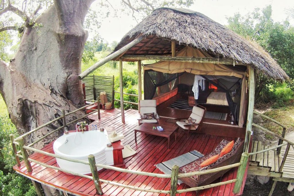 Serengeti, Ngorongoro and Tarangire SAfari