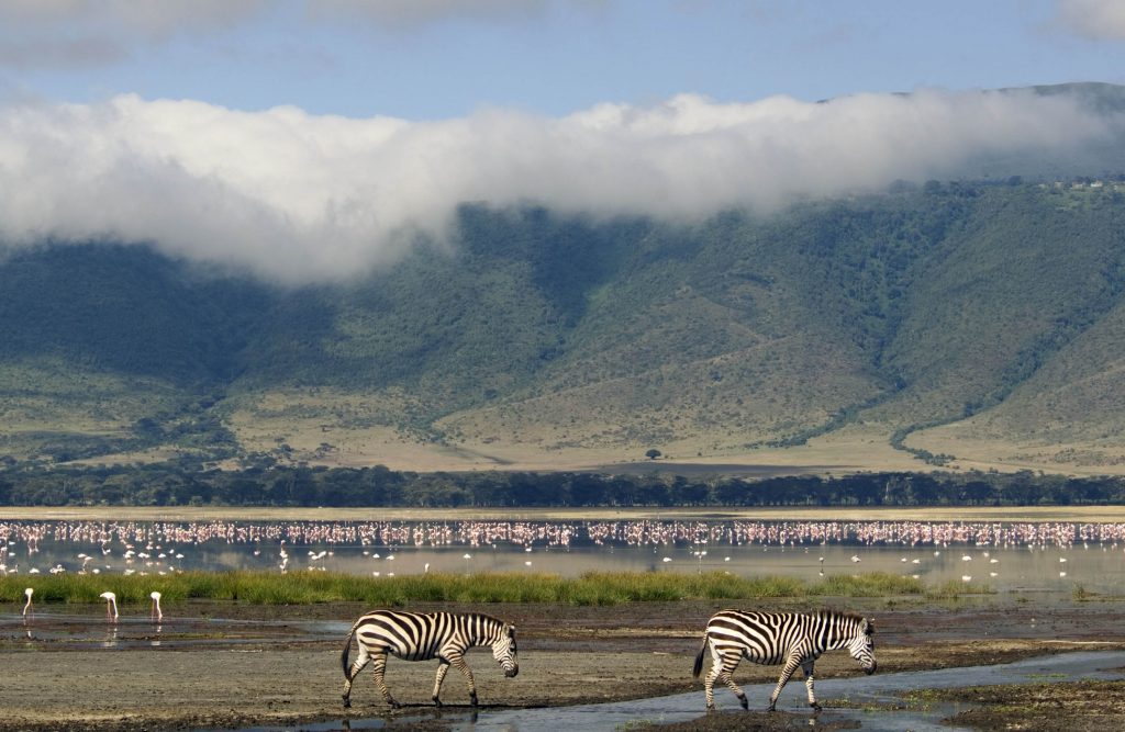 Ngorongoro Crater game drives