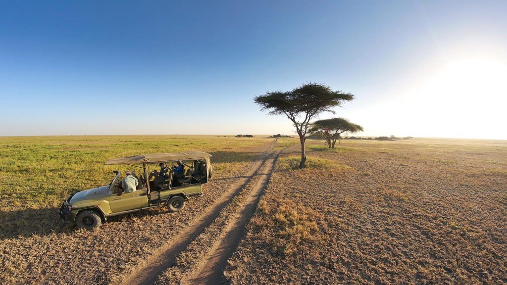 serengeti flying safari