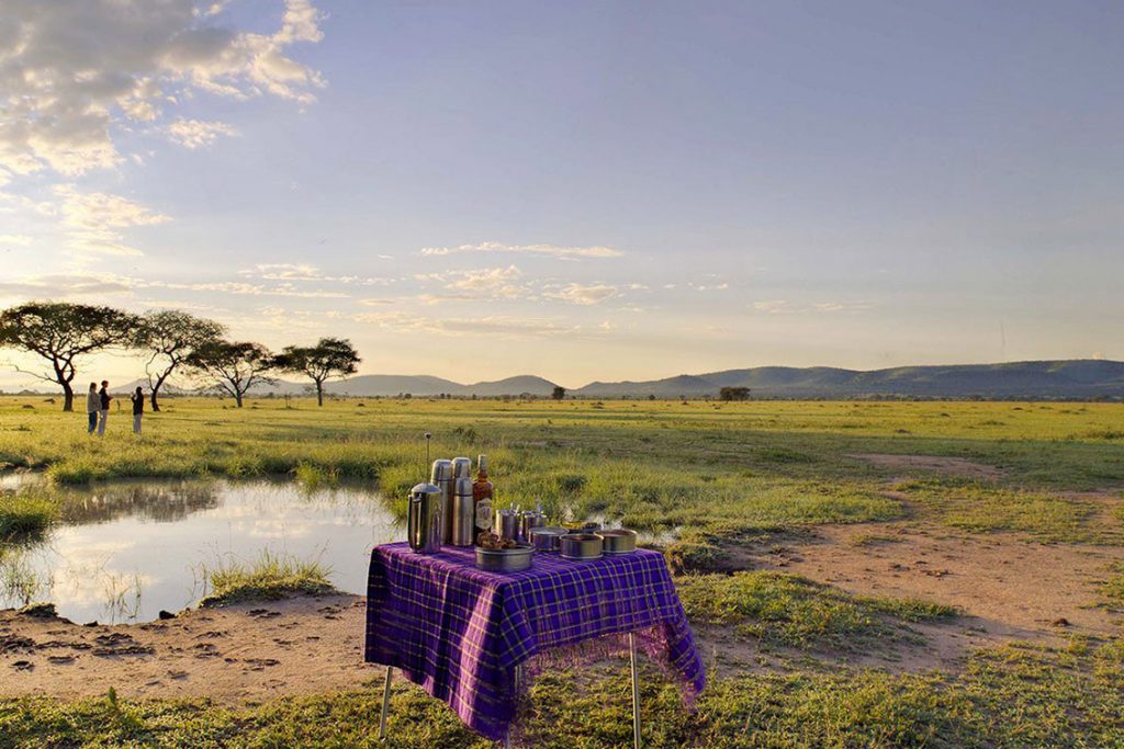 Breakfast in Serengeti