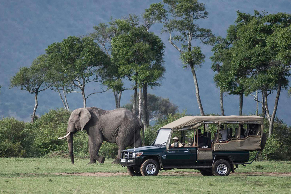 Kenya safaris and tours