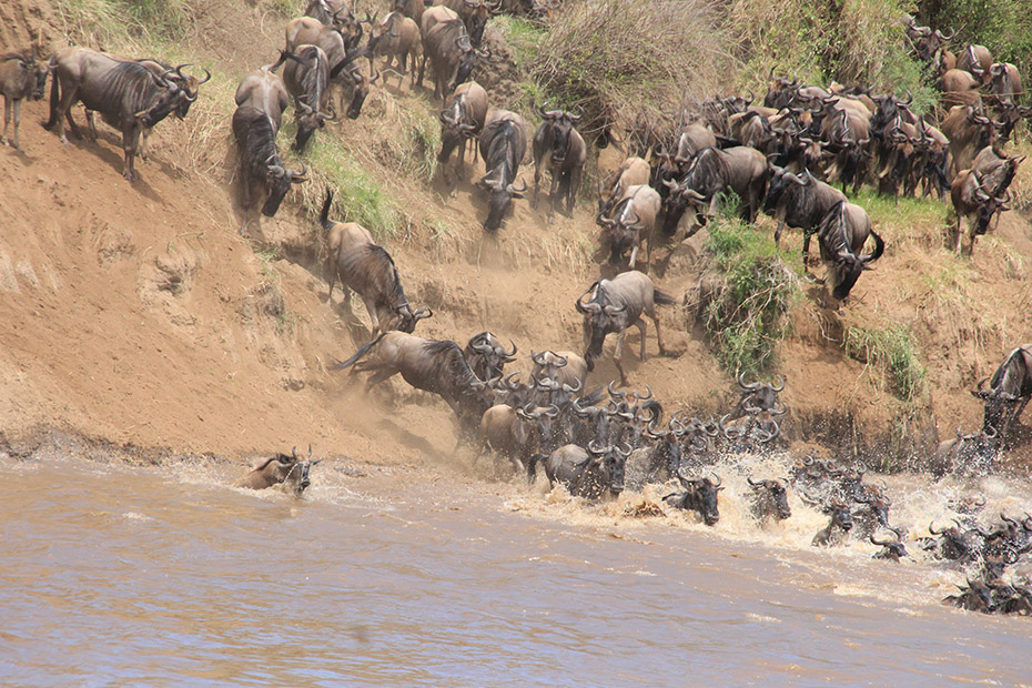 tanzania safari tours
