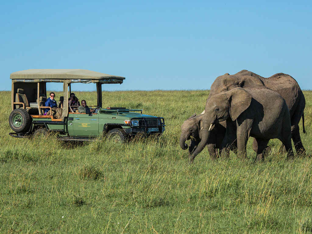 Safari in Masafari Mara