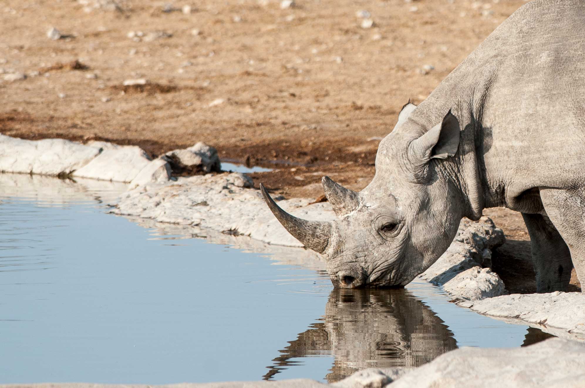 Etosha National Park Photographic Safari