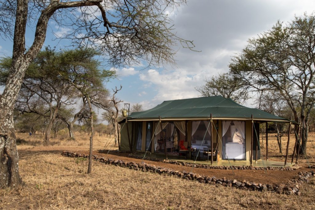 Serengeti and Ngorongoro Safari