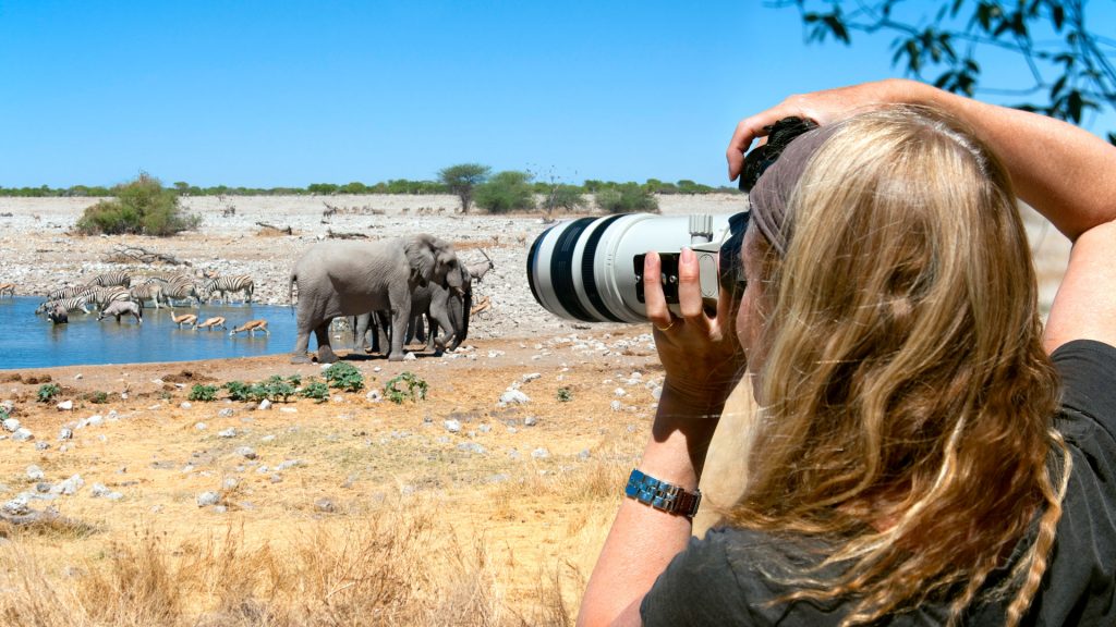 Etosha Photographic Safari