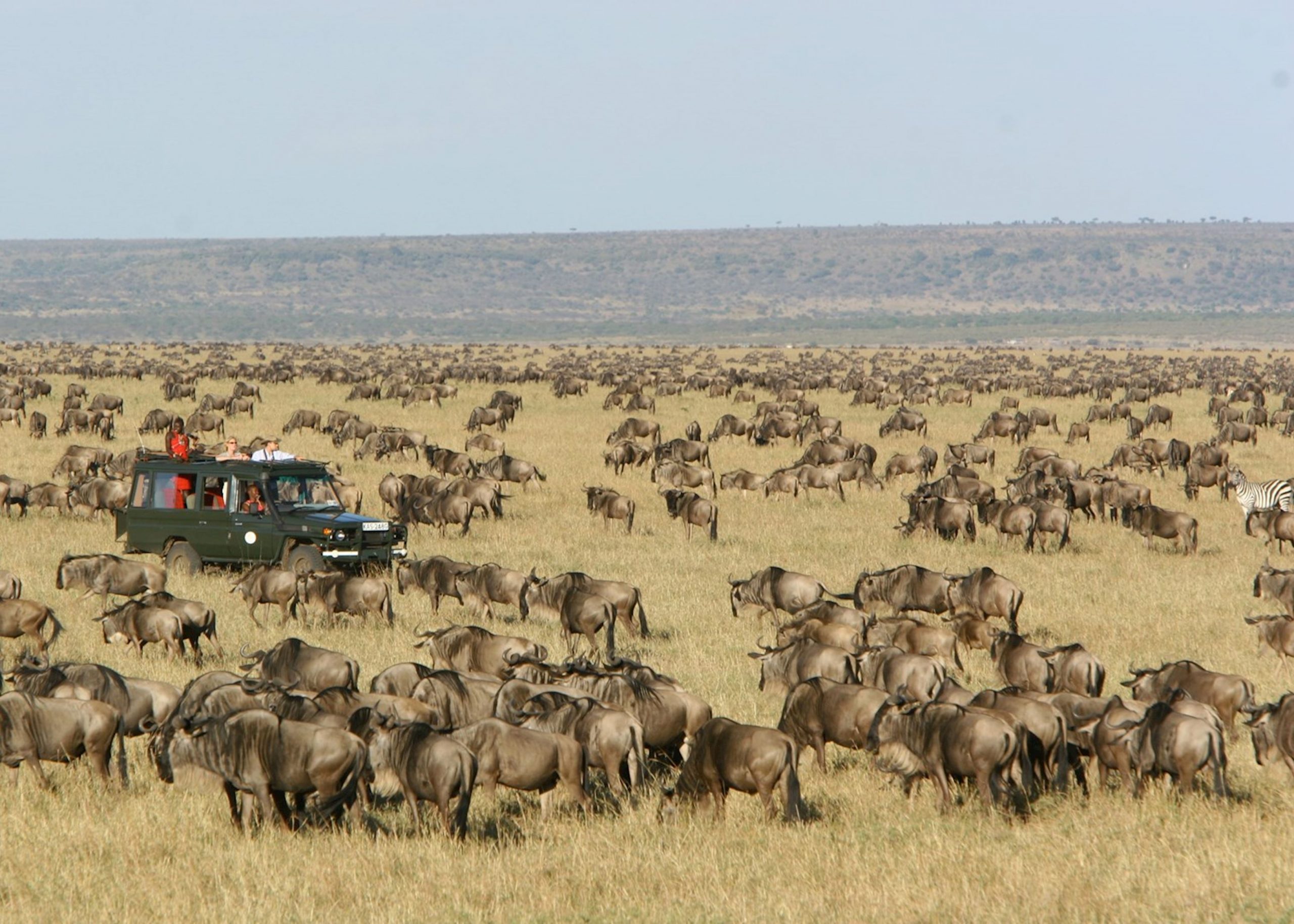 Serengeti Safaris