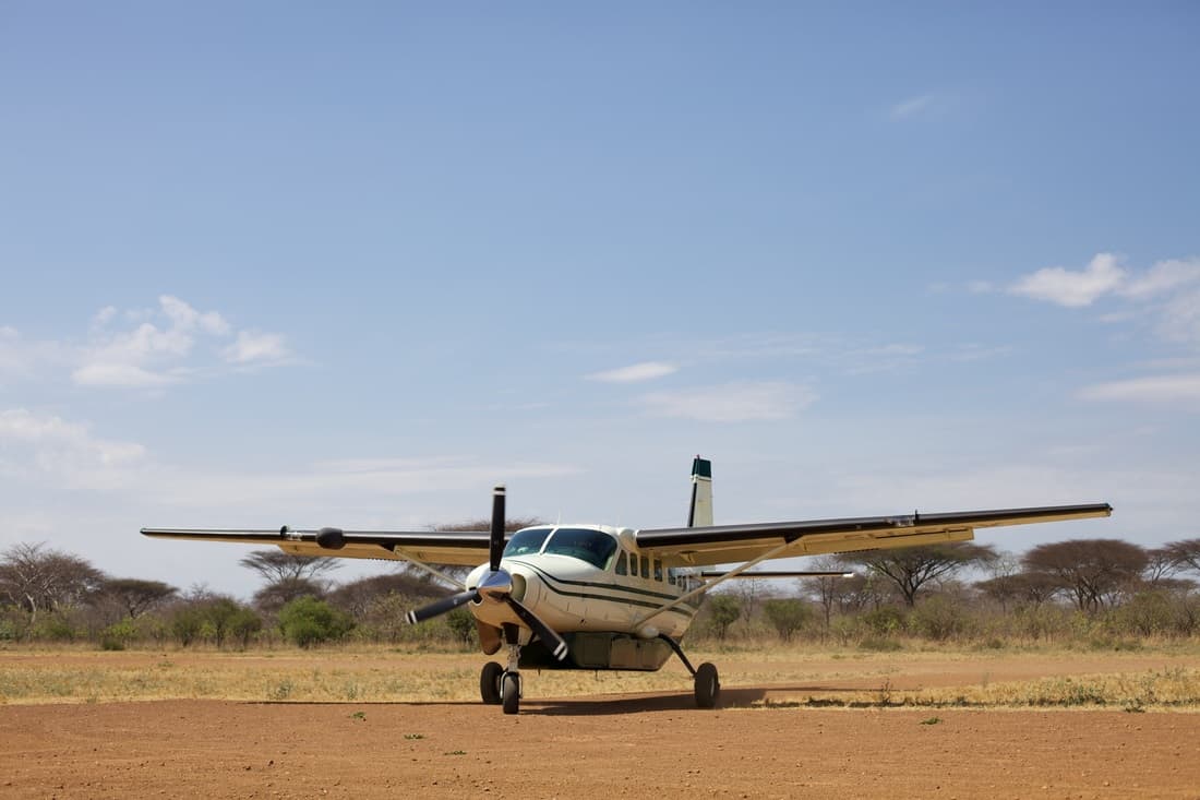 serengeti flying safari