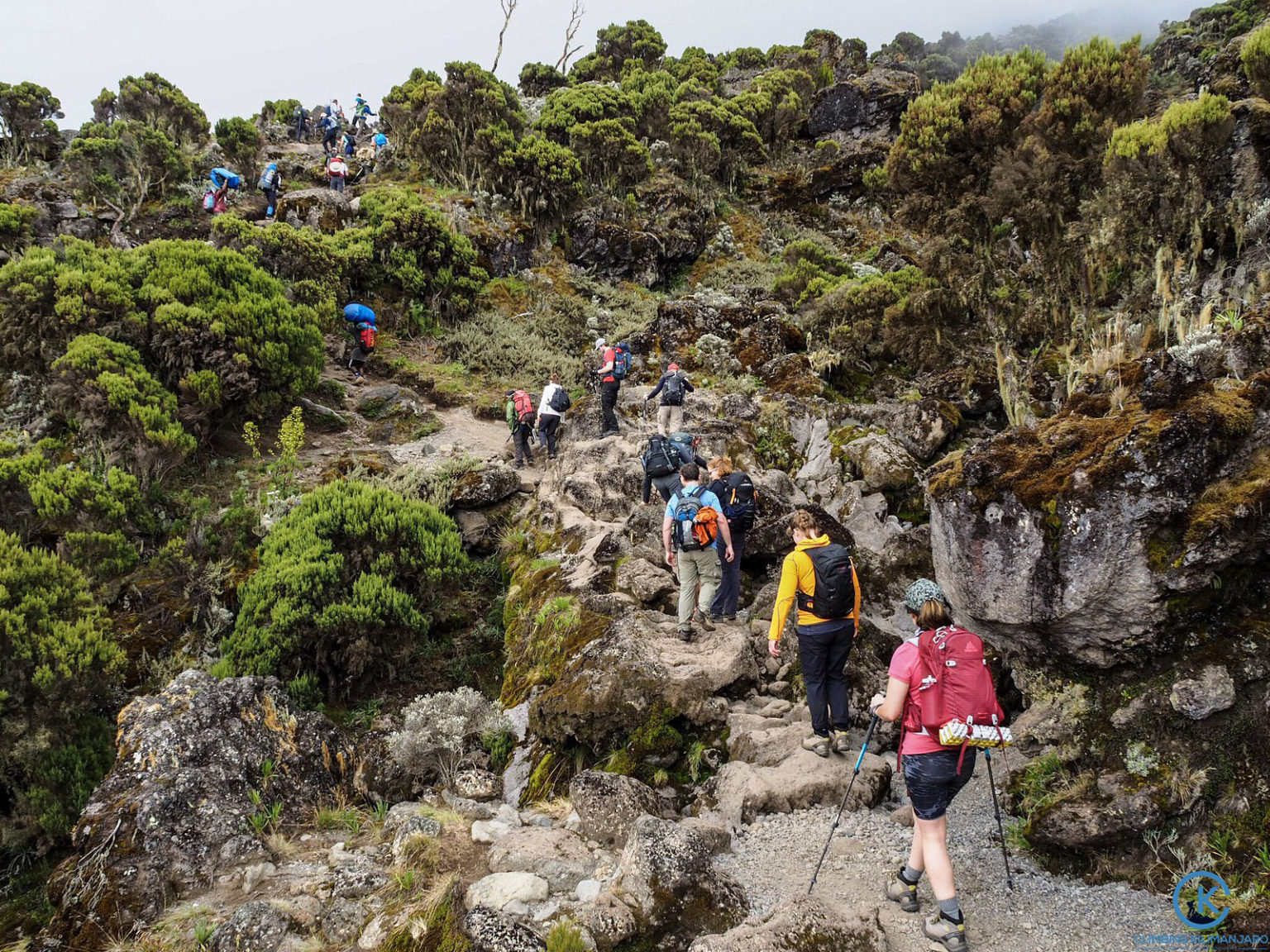 Kilimanjaro climbing tours
