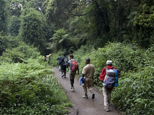 Mountain Kilimanjaro Trekking Tour