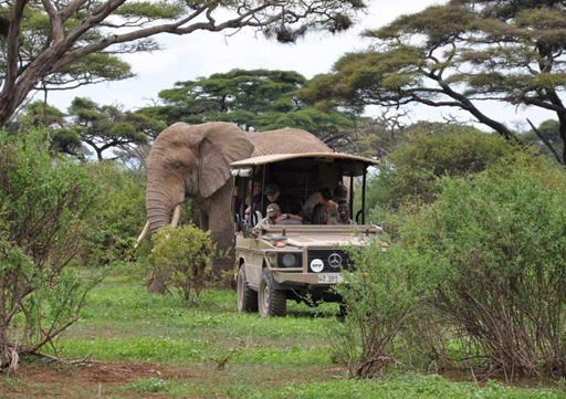 Day tour to Arusha National Park