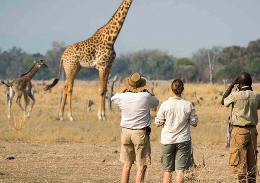 Walking tour in Arusha National Park