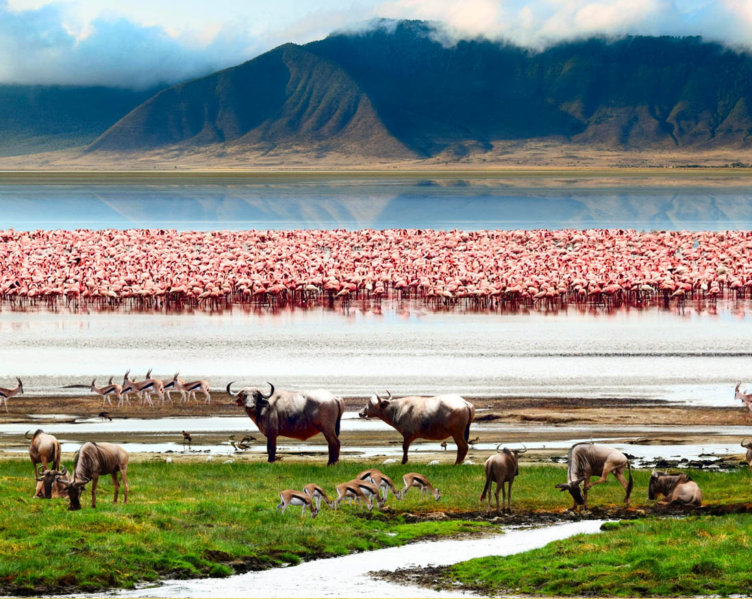Day tours in Tanzania