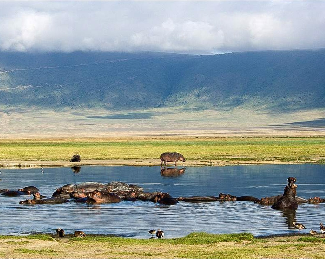 Ngorongoro day tour