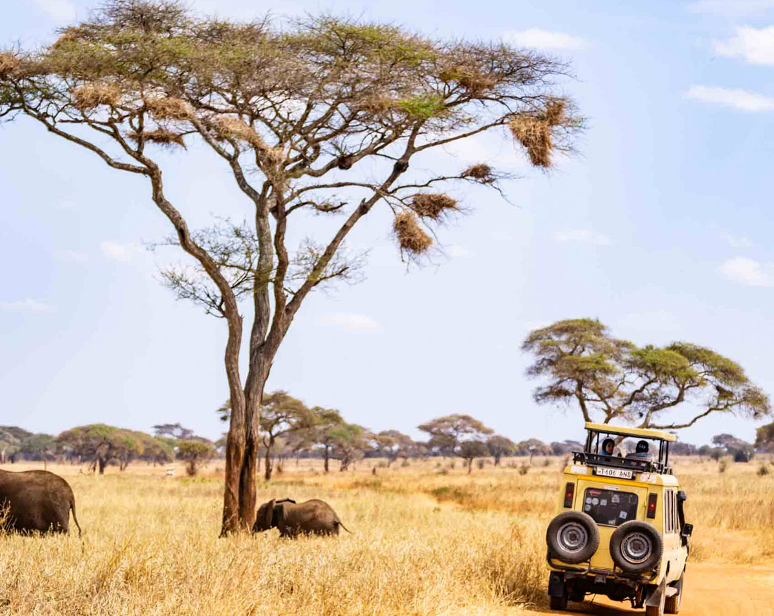 Tarangire day trip