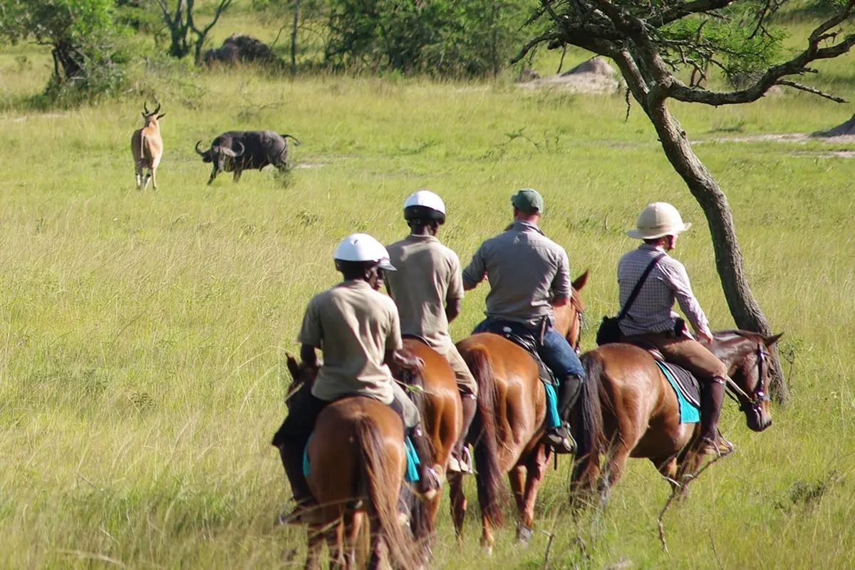lake-mburo-wildlife-viewing-on-horse