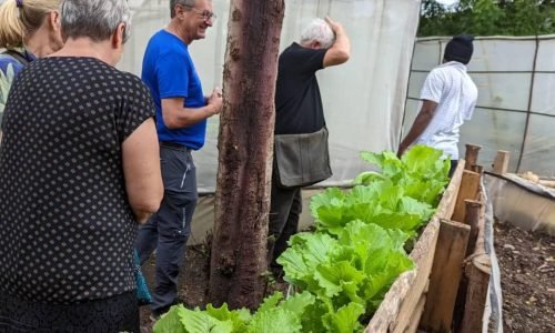 WhatsApp Image 2025-06-30 at 4.01.13 PM (4)