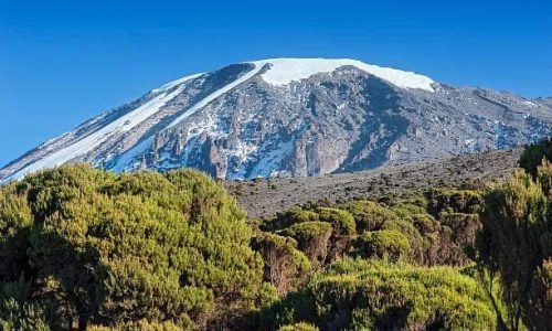 WhatsApp Image 2025-07-01 at 1.37.29 PM (1)