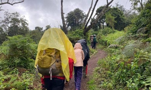 WhatsApp Image 2025-07-01 at 12.36.13 PM