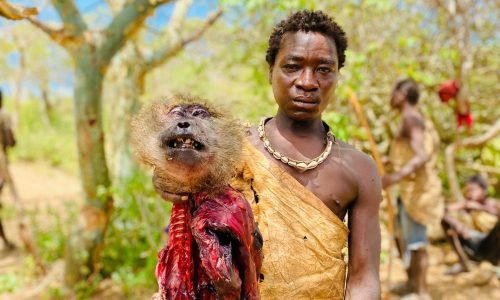 WhatsApp Image 2025-07-02 at 9.42.00 PM (1)