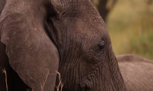 WhatsApp Image 2026-03-25 at 3.59.28 PM (2)