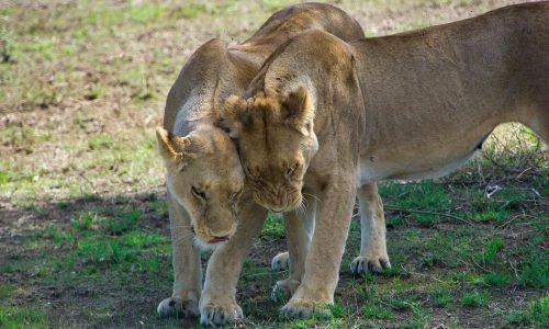 WhatsApp Image 2026-03-25 at 3.59.28 PM (4)